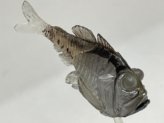海洋堂深海生物MIU 71Q+gxfkGFL._UF350,350_QL50_.jpg